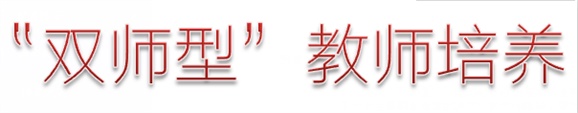 “雙師型”教師培養(yǎng)方案